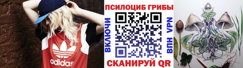 Галлюциногенные грибы Magic Shrooms  ОМГ ОМГ зеркало  Алдан 